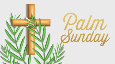 Clip Art:9igqcn51f0i= Palm Sunday