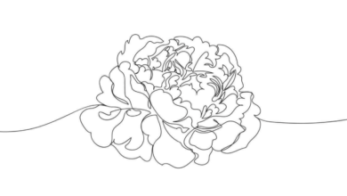 Outline:08lwfeyy1-A= Peony Flower