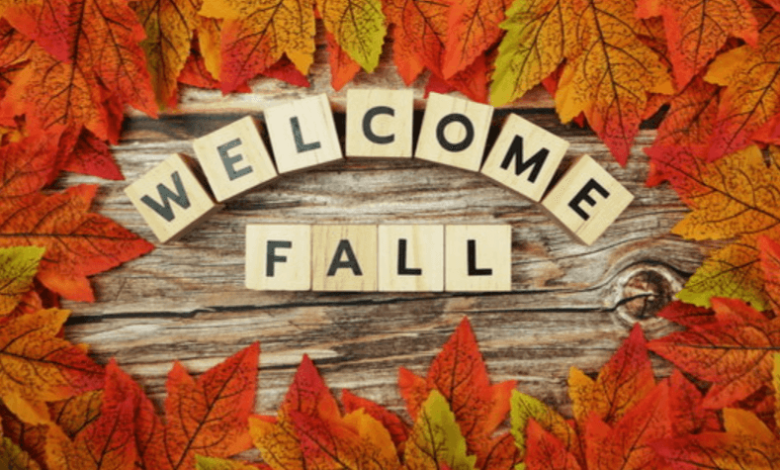 Cute:9c0pqtepvsq= Fall