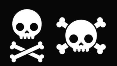 Vector:Ue9ivkarnse= Skull