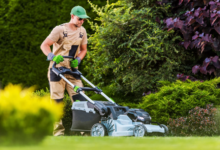Commercial vs. Residential Lawn Mowing: What Sets Them Apart