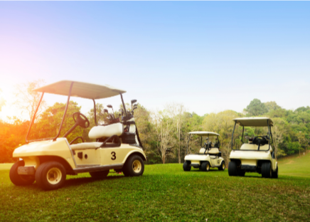 How to Choose the Perfect Electric Golf Cart