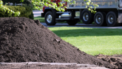 The Role of Topsoil in Improving Soil Fertility and Supporting Plant Growth