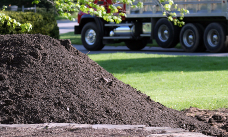 The Role of Topsoil in Improving Soil Fertility and Supporting Plant Growth