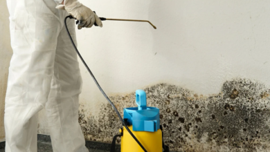 The Safety Benefits of Professional Mold Remediation vs. DIY Solutions