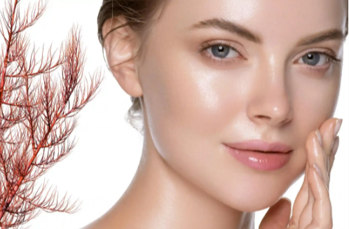 How Carrageenan Enhances Modern Skincare Products