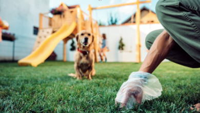 The Top Advantages of Hiring a Pet Waste Removal Service for Your Business