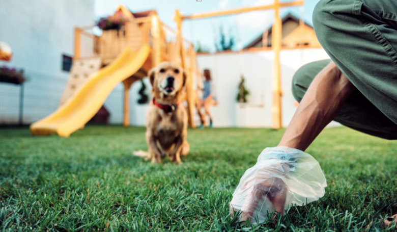 The Top Advantages of Hiring a Pet Waste Removal Service for Your Business