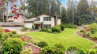 Water-Efficient Landscaping: Smart Solutions for Your Yard