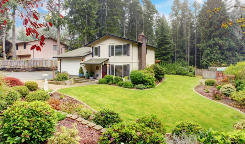 Water-Efficient Landscaping: Smart Solutions for Your Yard