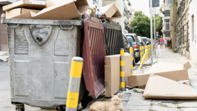 The Ultimate Guide to Skip Hire Services for First-Time Users