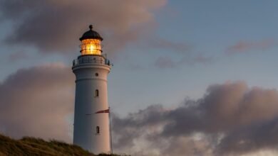 download mozilla d5 2f5 guide