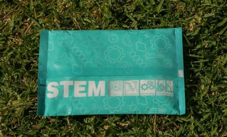 tech gaming innovator aleks kseny