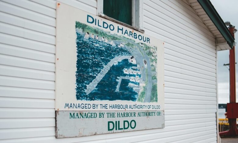 authority mapping dynamics explained