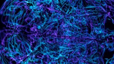 neural beam apex technology